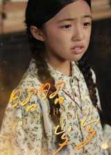 昭昭岁岁(30集) 昭昭岁岁(30集)男主角是谁