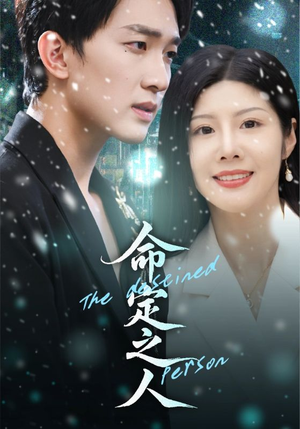 命定之人(56集) 命定之人(56集)演员表