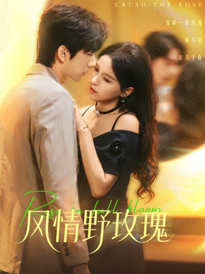 揉碎玫瑰（70集）口碑爆棚免费看