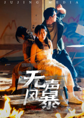 无声风暴(33集) 无声风暴(33集)甜宠短剧推荐