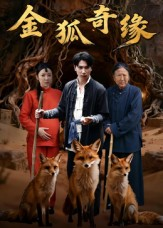 金狐奇缘(42集) 金狐奇缘(42集)精彩短剧片段