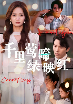 千里莺啼绿映红(63集) 千里莺啼绿映红(63集)更新时间一览表