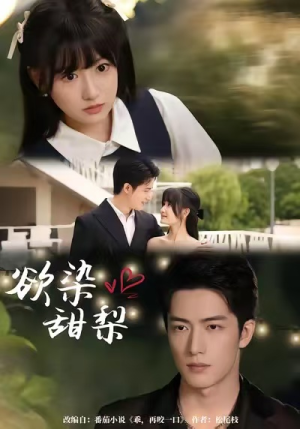 欲染甜梨（63集）最火短剧热播