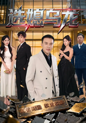 选媳乌龙（80集）直接追到结尾