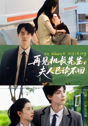 再见机长先生夫人已读不回（62集）高清画质免费看