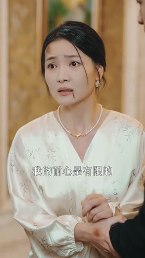 金屋藏凤(30集) 金屋藏凤(30集)高清无码免费看