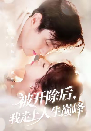 被开除后,我走上人生巅峰(57集) 被开除后,我走上人生巅峰(57集)评价怎么样