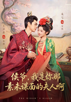 侯爷我是你那素未谋面的夫人啊（80集）在线看完整版