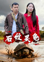 石纹灵龟（30集）热门爆款短剧
