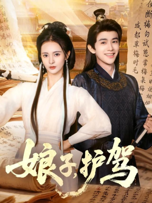 娘子护驾(73集) 娘子护驾(73集)在线看