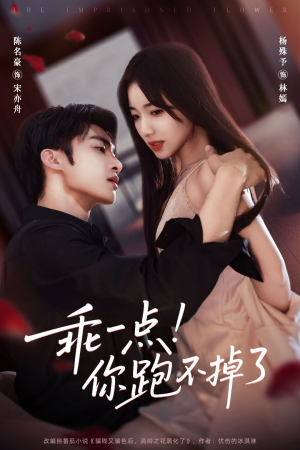 乖一点!你跑不掉了(80集) 乖一点!你跑不掉了(80集)最新短剧抢先看