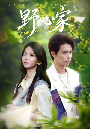 野心家(65集) 野心家(65集)全集一网打尽