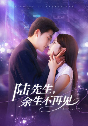 陆先生，余生不再见（88集）排行榜前十短剧