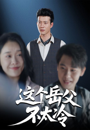 这个岳父不太冷（30集）短剧精彩推荐