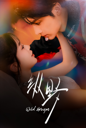 纵野（60集）热播短剧追不停