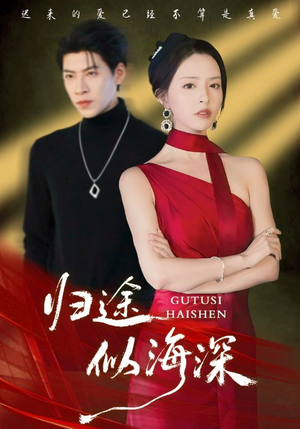 归途似海深（61集）免费短剧就是爽