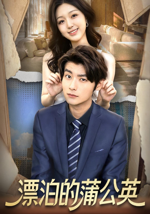 漂泊的蒲公英(60集) 漂泊的蒲公英(60集)短剧爆款推荐