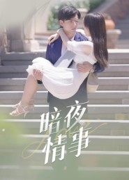 暗夜情事(100集) 暗夜情事(100集)热门爆款短剧