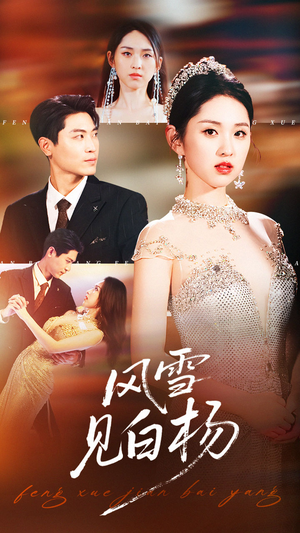 风雪见白杨（93集）观看软件