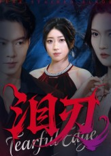 泪刃（40集）在线观看完整版