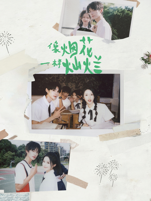 像烟花一样灿烂(60集) 像烟花一样灿烂(60集)看到了大结局