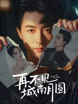 再不见城南月圆(60集) 再不见城南月圆(60集)热播短剧抢先看