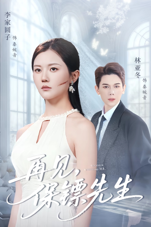 再见保镖先生（51集）在哪个平台能看