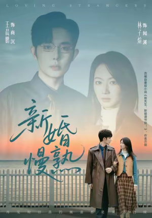 新婚慢熟（105集）精彩好看短剧