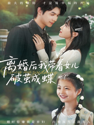 离婚后我带着女儿破茧成蝶(82集) 离婚后我带着女儿破茧成蝶(82集)评价怎么样