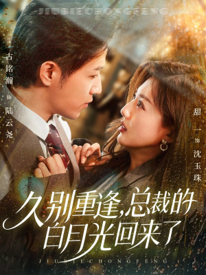 久别重逢，总裁的白月光回来了（62集）百度网盘在线看