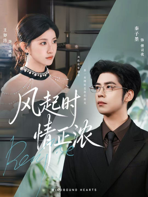 风起时情正浓（79集）热门短剧榜单