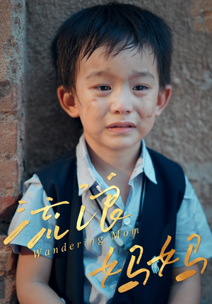 流浪妈妈（30集）精彩短剧抢先看