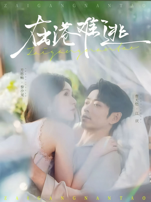 在港难逃（75集）无需会员轻松看