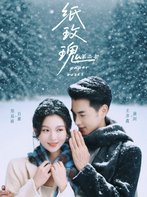 纸玫瑰第二部（80集）排行榜前十短剧