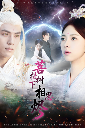 菩提树下相思烬（63集）热播短剧分享