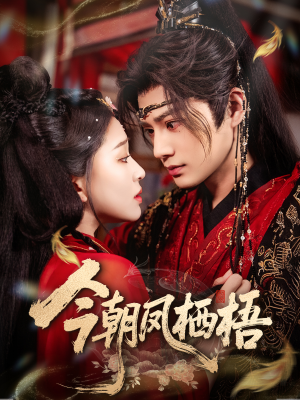 今朝凤栖梧(68集) 今朝凤栖梧(68集)百度网盘在线看