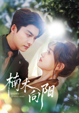 楠木向阳(70集) 楠木向阳(70集)短剧越看越精彩