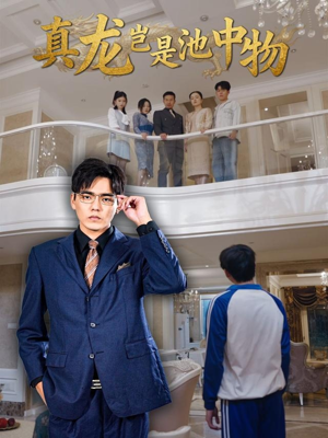 真龙岂是池中物（80集）百度网盘资源