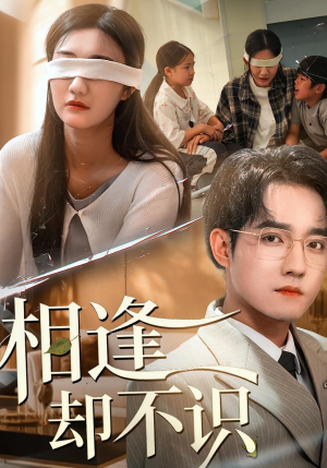 相逢却不识(77集) 相逢却不识(77集)精彩短剧天天看