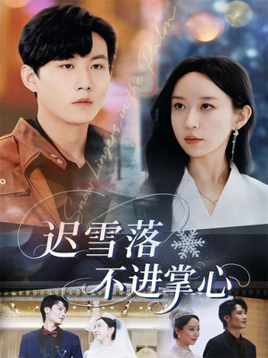 迟雪落不进掌心(79集) 迟雪落不进掌心(79集)剧情简介