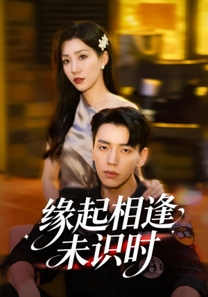 缘起相逢未识时(57集) 缘起相逢未识时(57集)男频短剧推荐