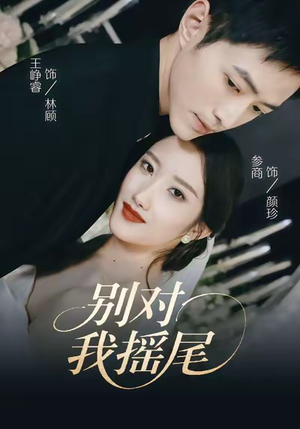 别对我摇尾（59集）在哪里可以看