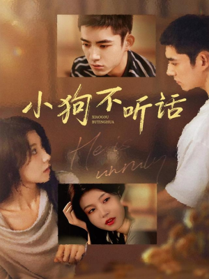 小狗不听话(70集) 小狗不听话(70集)在线看到大结局