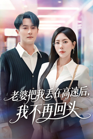 老婆把我丢在高速后，我不再回头（66集）短剧解说热门