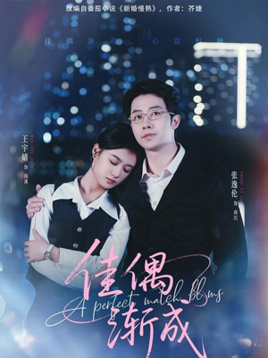 佳偶渐成(71集) 佳偶渐成(71集)爆款短剧一起追