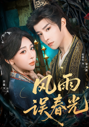 风雨误春光(58集) 风雨误春光(58集)最后的大结局