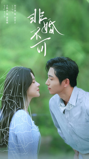 非婚不可（65集）好看短剧追不停