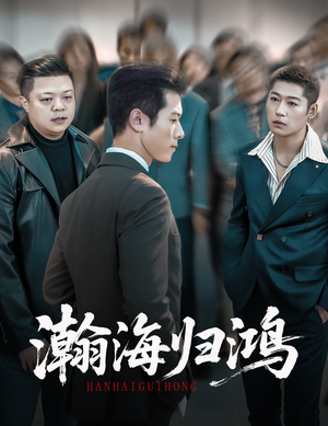 瀚海归鸿（74集）热门爆款短剧