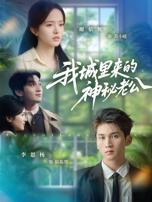 我城里来的神秘老公(30集) 我城里来的神秘老公(30集)免费观看完整版