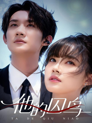 他的囚鸟(60集) 他的囚鸟(60集)网络小短剧